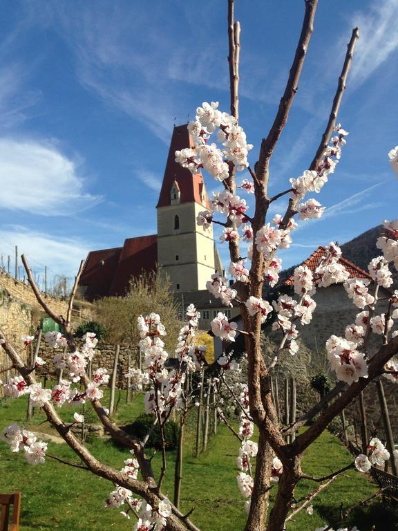 Gaestehaus Haiminger Ehemalig Schmelz Weissenkirchen in der Wachau Ngoại thất bức ảnh